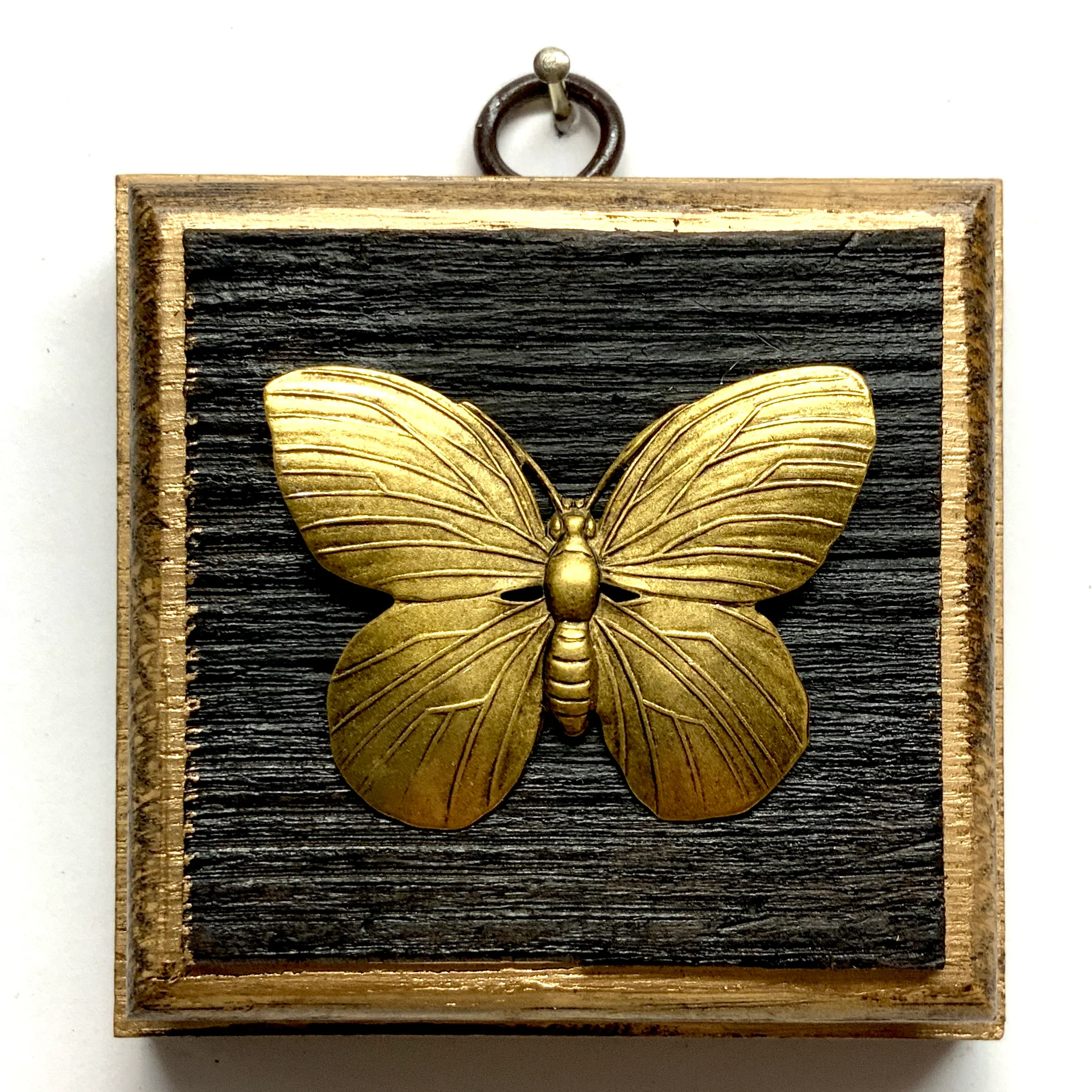 Insects (Non Bee)